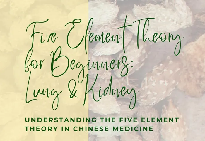 Five Element Theory for Beginners-Lung & Kidney